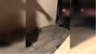Mekan sahiplerine zorla senet imzalatarak iş yerlerini devralmaya çalışan 12 şüpheli yakalandı