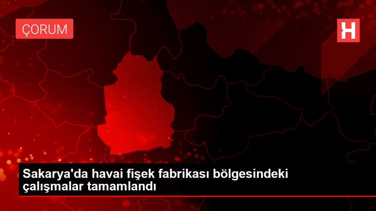 Sakarya'da havai fişek fabrikası bölgesindeki çalışmalar tamamlandı