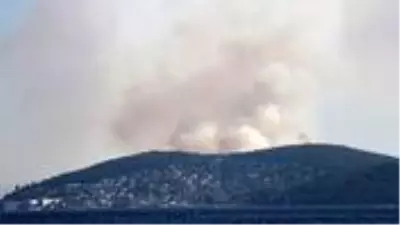 Son Dakika: Heybeliada'da çıkan orman yangını ile ilgili 3 şüpheli gözaltına alındı Son Dakika: Heybeliada'da çıkan orman yangını ile ilgili 3 şüpheli gözaltına alındı