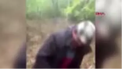 TRABZON Vurdukları ayıyı yumruklayan avcılar, kamerada