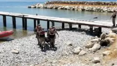 Van Gölü'nde çıkarılan ceset sayısı 21'i buldu Van Gölü'nde çıkarılan ceset sayısı 21'i buldu