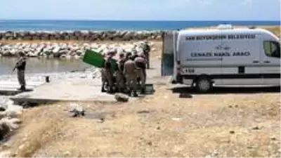 Van Gölü'nde çıkarılan ceset sayısı 21'i buldu Van Gölü'nde çıkarılan ceset sayısı 21'i buldu