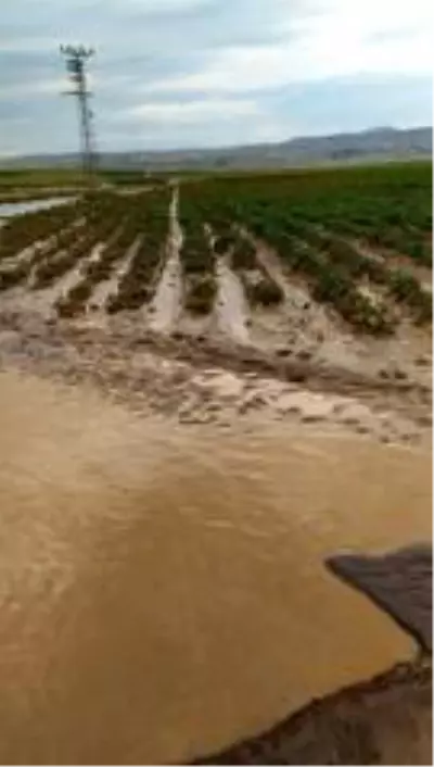 Ahlat'ta sel suları ekili alanlara ve sulama kanallarına zarar verdi