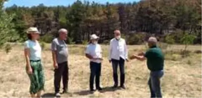 Başkan Akgün Gelibolu'da yangın bölgesinde incelemelerde bulundu Başkan Akgün Gelibolu'da yangın bölgesinde incelemelerde bulundu