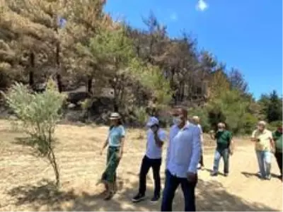 Başkan Akgün Gelibolu'da yangın bölgesinde incelemelerde bulundu Başkan Akgün Gelibolu'da yangın bölgesinde incelemelerde bulundu