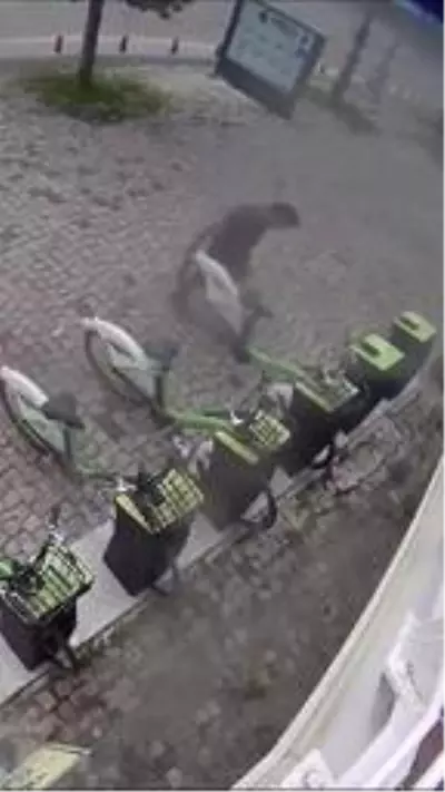 Bisiklet ve turnikelere zarar veren kişiler güvenlik kameralarına yansıdı