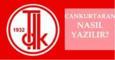 Cankurtaran nasıl yazılır? TDK'ya göre doğru imla cankurtaran mı, can kurtaran mı? Cankurtaran ne demek? Cankurtaran nasıl yazılır? TDK'ya göre doğru imla cankurtaran mı, can kurtaran mı? Cankurtaran ne demek?