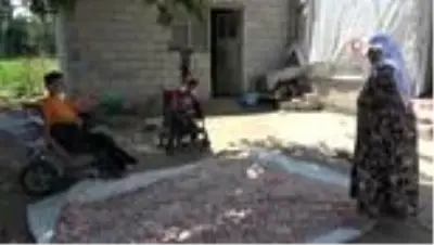 - Fedakar ağabeyler hayatlarını 5 engelli kardeşine adadı