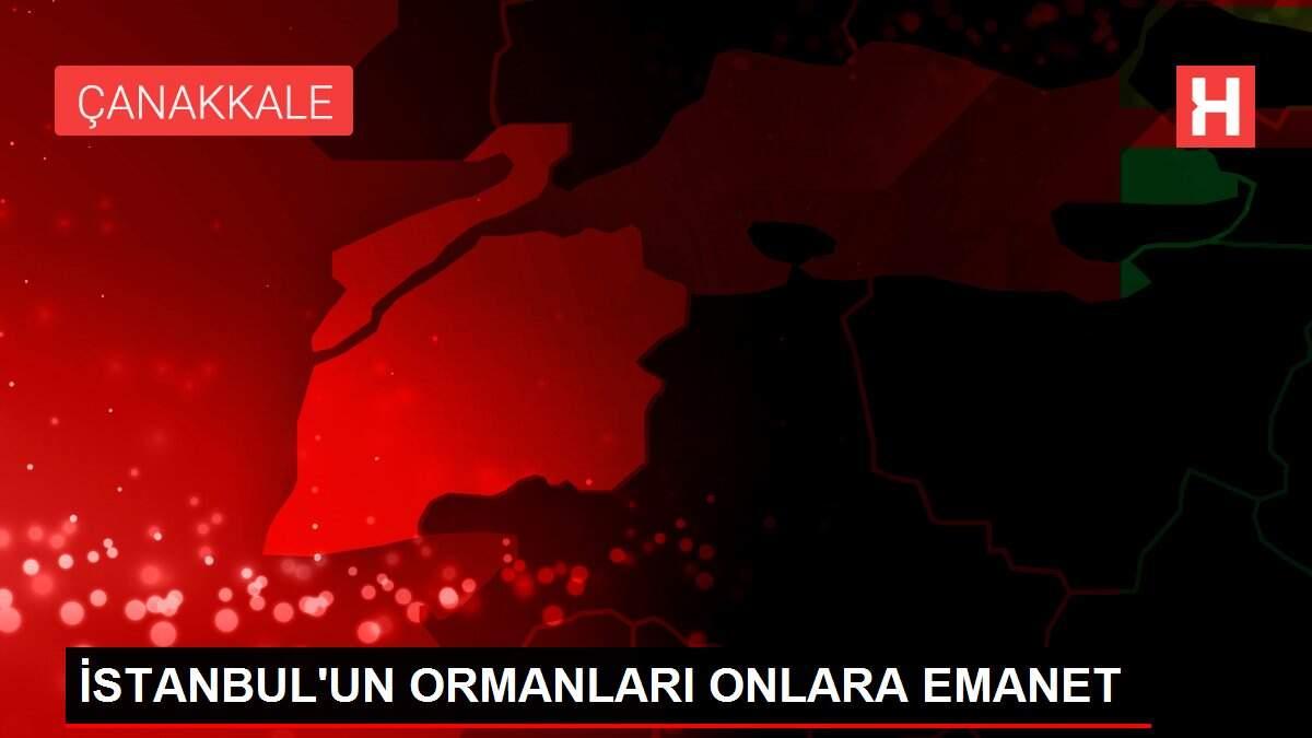 İSTANBUL'UN ORMANLARI ONLARA EMANET