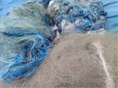 Kaçak balık avlayan 15 şahsa idari yaptırım Kaçak balık avlayan 15 şahsa idari yaptırım