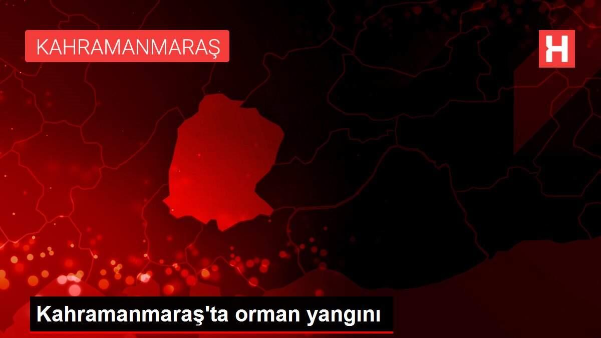 Kahramanmaraş'ta orman yangını
