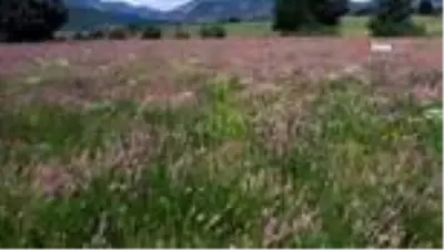 Kavakpınarı köyü güzelliği ile hayran bırakıyor