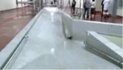 Pandemi sürecine uygun hijyenik kurban kesimi için kollar sıvandı
