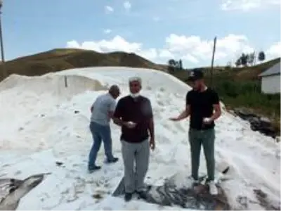 Son dakika haberi... Şiddetli yağış ve dolu tuz üreticileriyle kavun tarlalarını vurdu