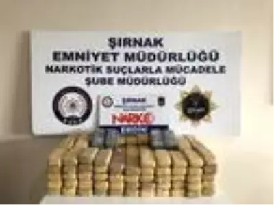Şırnak'ta kaçakçılık operasyonu: 24 gözaltı