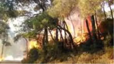 Son dakika: Heybeliada'daki orman yangınına ilişkin bir kişi tutuklandı Son dakika: Heybeliada'daki orman yangınına ilişkin bir kişi tutuklandı