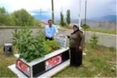 Son dakika! 15 Temmuz şehidi 'tabuta sığmayan fidan', mezarı başında anıldı Son dakika! 15 Temmuz şehidi 'tabuta sığmayan fidan', mezarı başında anıldı