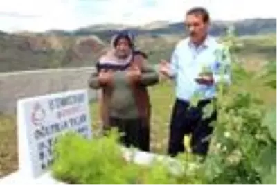 Son dakika! 15 Temmuz şehidi 'tabuta sığmayan fidan', mezarı başında anıldı Son dakika! 15 Temmuz şehidi 'tabuta sığmayan fidan', mezarı başında anıldı