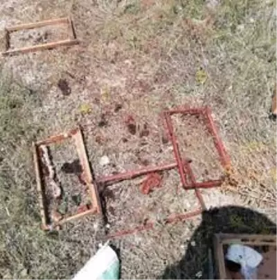 Ayılar kovanları parçaladı, arılar telef oldu