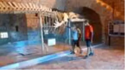 Bisikletiyle dünya turuna çıkan İspanyol gezgin, Kuşadası'na hayran kaldı Bisikletiyle dünya turuna çıkan İspanyol gezgin, Kuşadası'na hayran kaldı