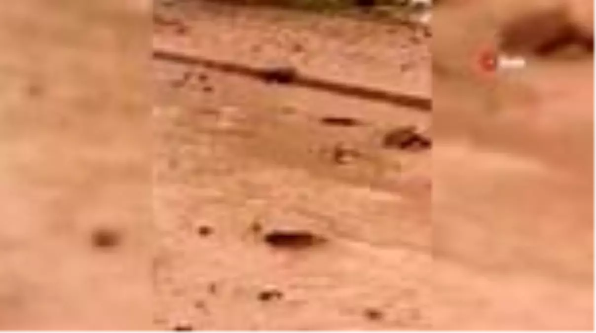 Erzincan'da dereden taşan sel suları mahallenin ortasından geçti