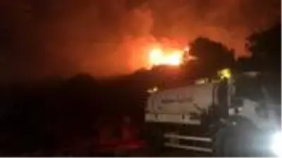 İzmir'de makilik alanda çıkan yangın, yerleşim alanlarına yaklaştı İzmir'de makilik alanda çıkan yangın, yerleşim alanlarına yaklaştı
