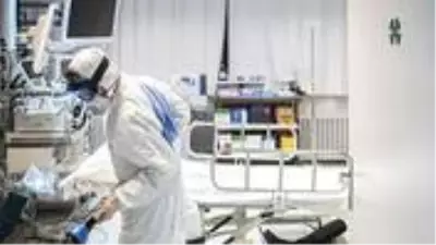 Koronavirüs nedeniyle Kırım Kongo Kanamalı Ateşi hastalığı arttı Koronavirüs nedeniyle Kırım Kongo Kanamalı Ateşi hastalığı arttı