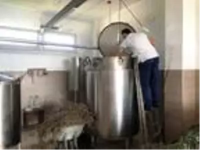 Lavanta yağının litresi 135 euro Lavanta yağının litresi 135 euro