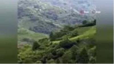 - Rize'deki selde mahsur kalan 100 kişi tahliye edildi - Rize'deki selde mahsur kalan 100 kişi tahliye edildi