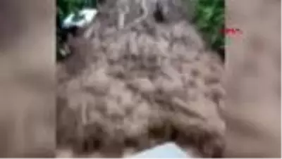 SEL ANI KAMERADA; DEHŞET ANINI YAŞAYAN O AİLE KONUŞTU SEL ANI KAMERADA; DEHŞET ANINI YAŞAYAN O AİLE KONUŞTU