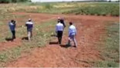 'Tat Karpuzu' için coğrafi işaret başvurusu yapıldı 'Tat Karpuzu' için coğrafi işaret başvurusu yapıldı