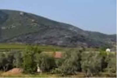 Tire'de maki yangınına giden arazöz devrildi: 2 ölü, 2 yaralı (2) Tire'de maki yangınına giden arazöz devrildi: 2 ölü, 2 yaralı (2)