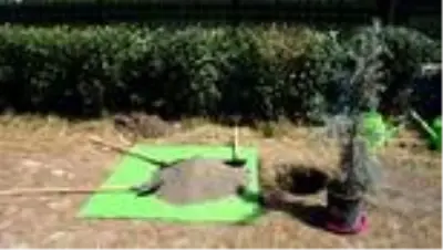 15 Temmuz şehitleri anısına 251 okula fidan dikildi 15 Temmuz şehitleri anısına 251 okula fidan dikildi