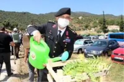 Son Dakika: 15 Temmuz şehitlerinin ismi Koçarlı'da yaşatılıyor Son Dakika: 15 Temmuz şehitlerinin ismi Koçarlı'da yaşatılıyor