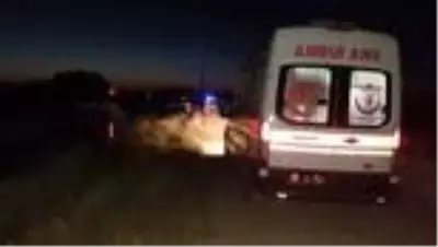 Diyarbakır ve Adıyaman'da serinlemek için sulama kanalına giren 4 genç boğuldu Diyarbakır ve Adıyaman'da serinlemek için sulama kanalına giren 4 genç boğuldu