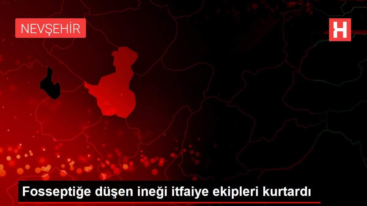 Fosseptiğe düşen ineği itfaiye ekipleri kurtardı Fosseptiğe düşen ineği itfaiye ekipleri kurtardı
