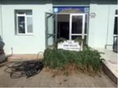Jandarma, Hint kenevirlerini dronla tespit etti Jandarma, Hint kenevirlerini dronla tespit etti