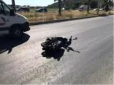 Kazada yaralanan Eylem Emir, yaşam savaşını kaybetti Kazada yaralanan Eylem Emir, yaşam savaşını kaybetti