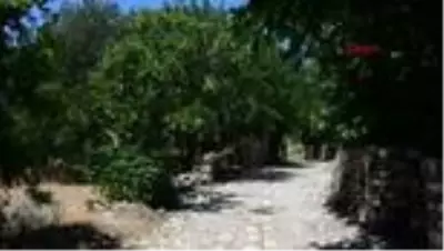 MUĞLA ROMA İMPARATORU'NUN SÜTUNLARI AYAĞA KALDIRILIYOR MUĞLA ROMA İMPARATORU'NUN SÜTUNLARI AYAĞA KALDIRILIYOR