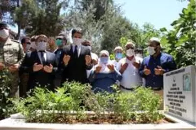 Silopi'de 15 Temmuz etkinlikleri Silopi'de 15 Temmuz etkinlikleri