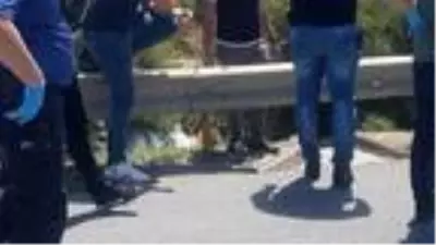 TEM kenarında bulunan parçalanmış ceset 5 gündür kayıp kişiye ait çıktı TEM kenarında bulunan parçalanmış ceset 5 gündür kayıp kişiye ait çıktı
