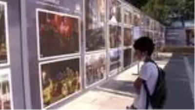 Uşak'ta AA'nın 15 Temmuz fotoğrafları ilgi gördü