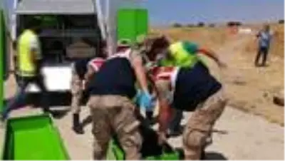 Van Gölü'nde 2 ceset daha çıkarıldı Van Gölü'nde 2 ceset daha çıkarıldı