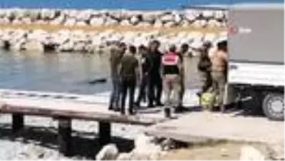 Van Gölü'nde kurtarma çalışmaları yeniden başlatıldı Van Gölü'nde kurtarma çalışmaları yeniden başlatıldı