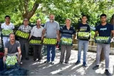 Yediveren incirinin 'Turgutlu inciri' olarak tescillenmesini istiyorlar