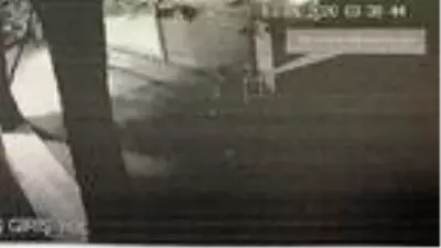 Deniz Bulutsuz'un çıplak ayaklı yürüdüğü anlar dosyaya delil olarak girdi Deniz Bulutsuz'un çıplak ayaklı yürüdüğü anlar dosyaya delil olarak girdi