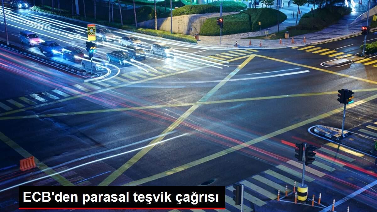 ECB'den parasal teşvik çağrısı