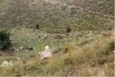 Emniyete ait keşif uçağı Van'da dağa çarptı: 7 şehit (2) Emniyete ait keşif uçağı Van'da dağa çarptı: 7 şehit (2)