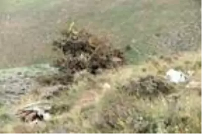 Emniyete ait keşif uçağı Van'da dağa çarptı: 7 şehit (2) Emniyete ait keşif uçağı Van'da dağa çarptı: 7 şehit (2)