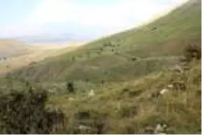 Emniyete ait keşif uçağı Van'da dağa çarptı: 7 şehit (2) Emniyete ait keşif uçağı Van'da dağa çarptı: 7 şehit (2)